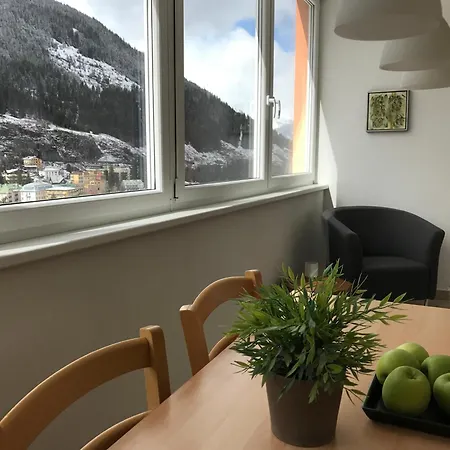 Panorama Dasschiller Medium Apartment Bad Gastein